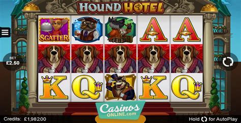 Hound Hotel 888 Casino